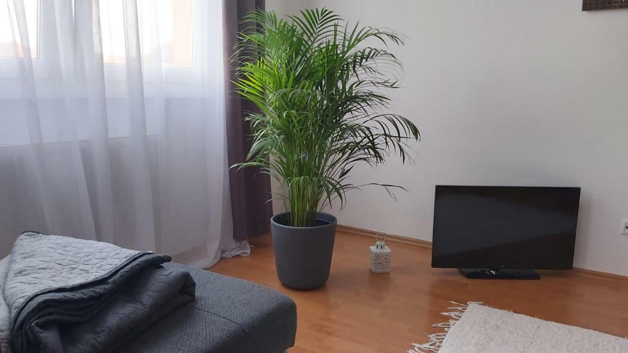 Magnolia Apartman *