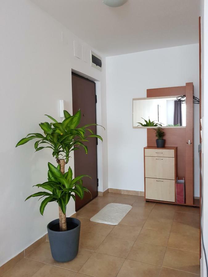 Magnolia Apartman Apartment